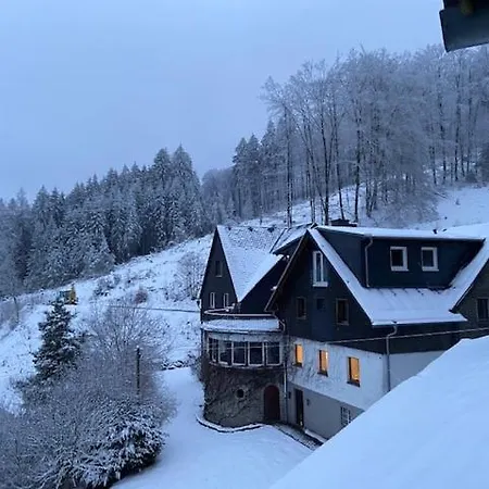 Baumwipfel וילינגן