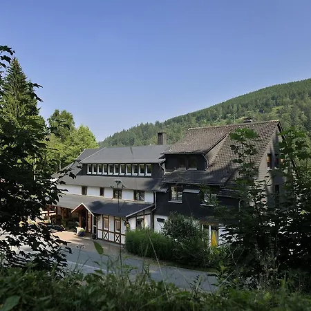 Baumwipfel וילינגן