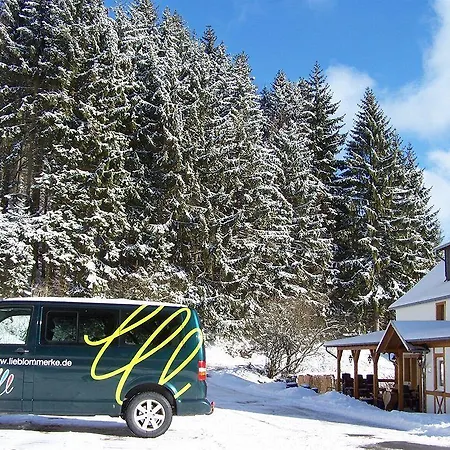 Baumwipfel Affittacamere Willingen (Upland)