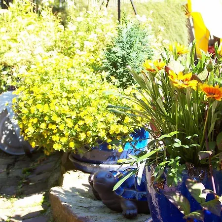 Baumwipfel 3* וילינגן