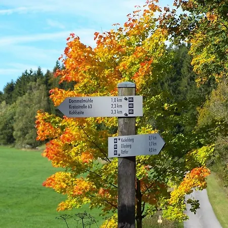 Baumwipfel Affittacamere