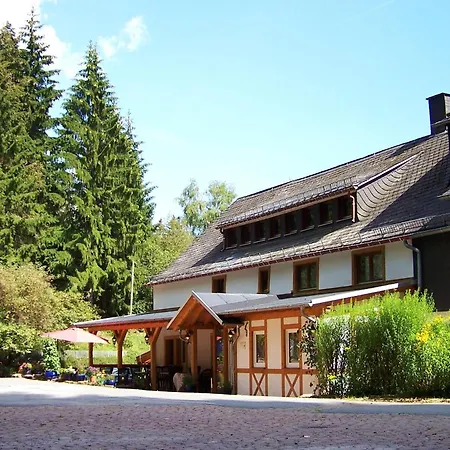 Affittacamere Baumwipfel Willingen (Upland)