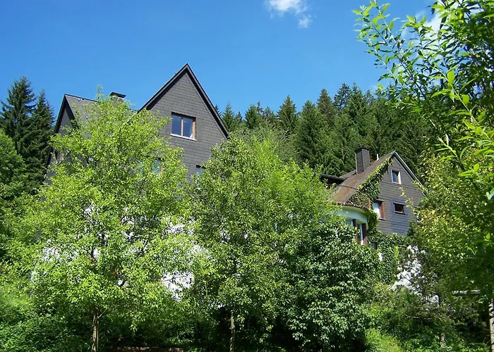 Maison d'hôtes Baumwipfel Willingen (Upland)