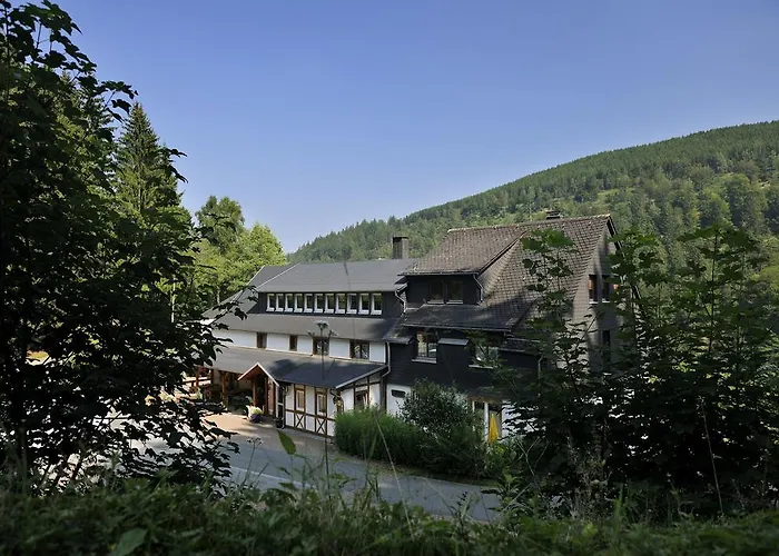 Baumwipfel Willingen (Upland)