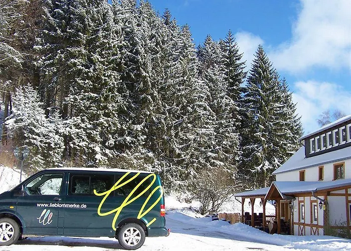 Baumwipfel Penzion Willingen (Upland)