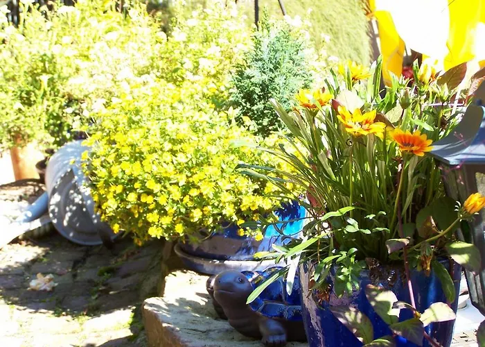 Baumwipfel 3* Willingen (Upland)