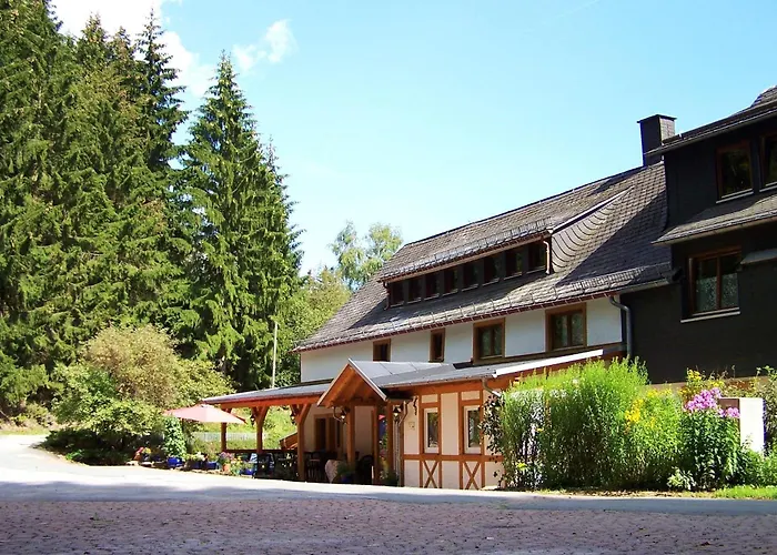 Penzion Baumwipfel Willingen (Upland)